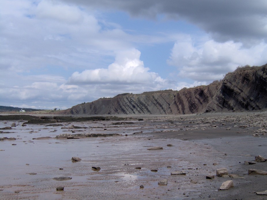  Осадочные отложения в Джоггинсе, Новая Шотландия (Канада). Слои имеют наклон около 30 градусов и уложены вертикально более чем на километр вглубь