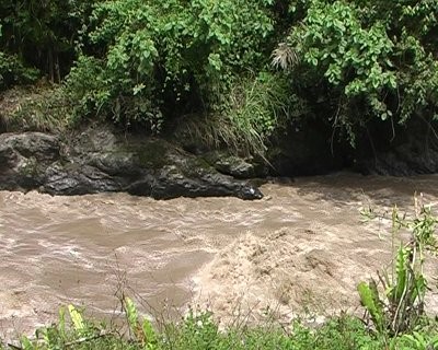 Половодье на реке в Эквадоре. Вода коричневая, потому что быстрый поток переносит множество осадка